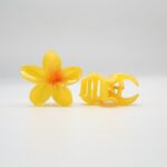 Mini Flower Claw  III