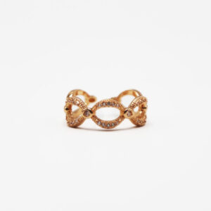 Starbound Relic Ring