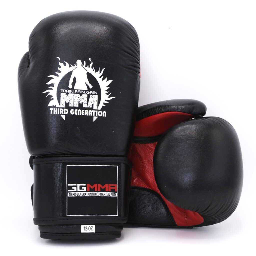 Premium Boxing Gloves