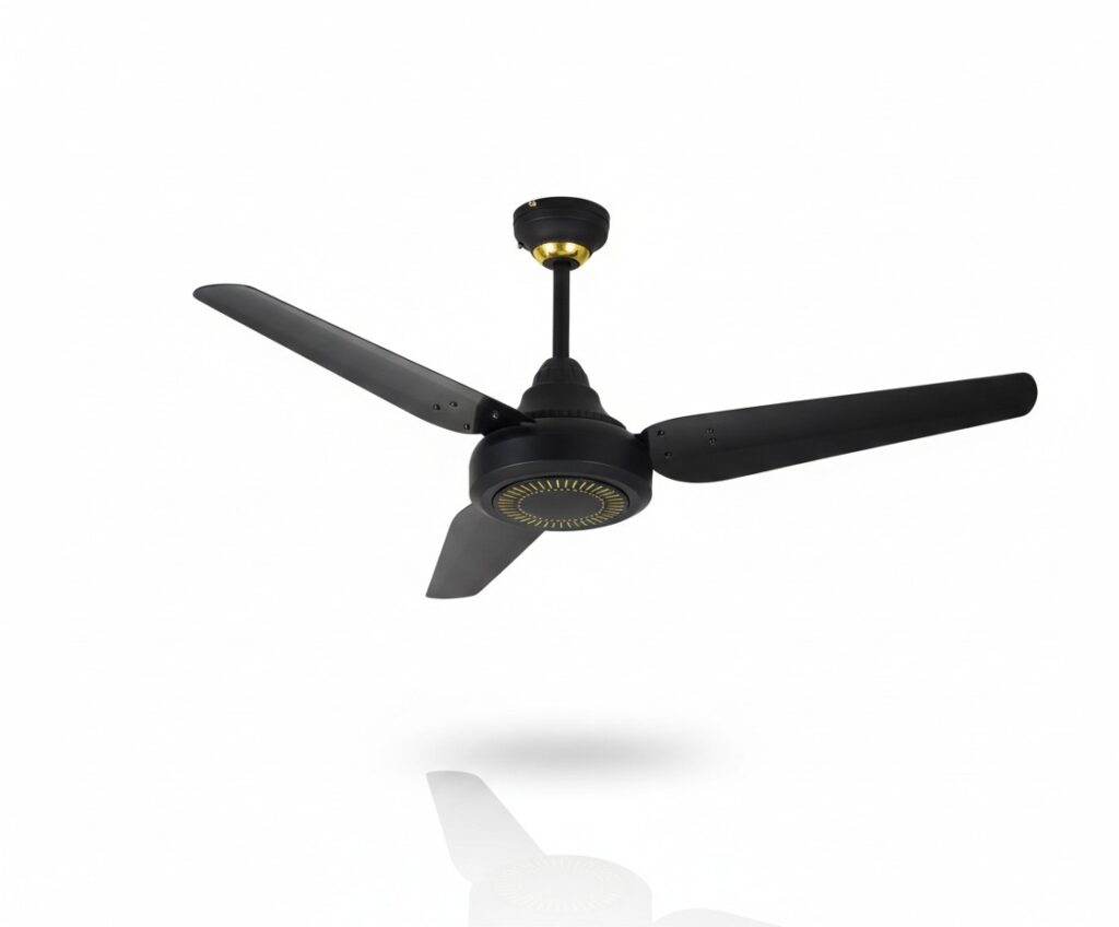 King Model AC/DC Fan