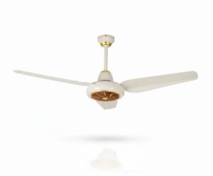 Icon Model AC/DC Fan