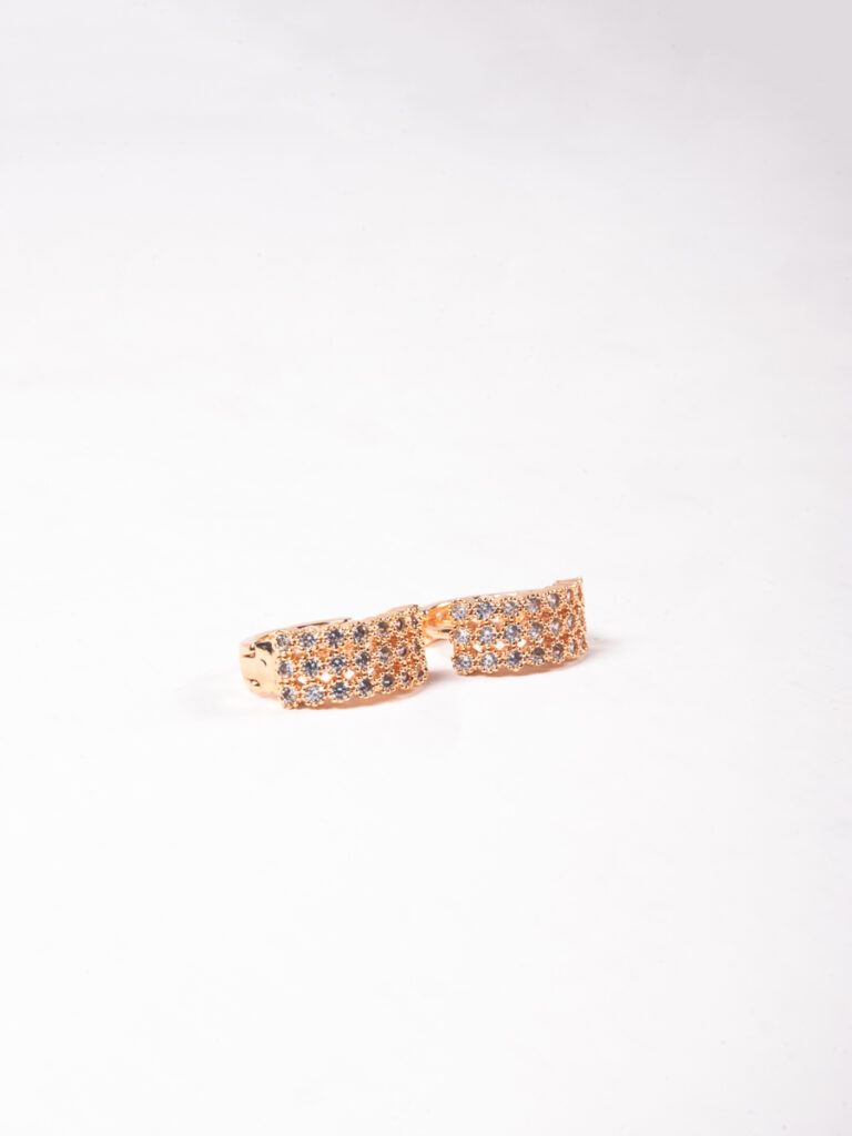 Elegant Zircon Ear Studs