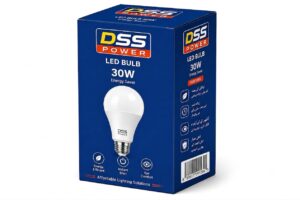 DSS Power Energy Saver LED Bulb 30W